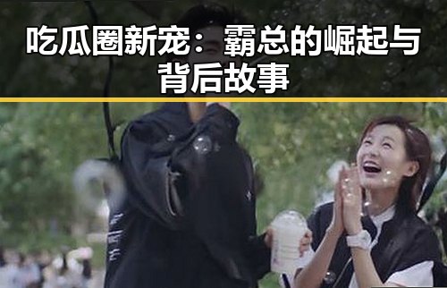 吃瓜圈新宠：霸总的崛起与背后故事