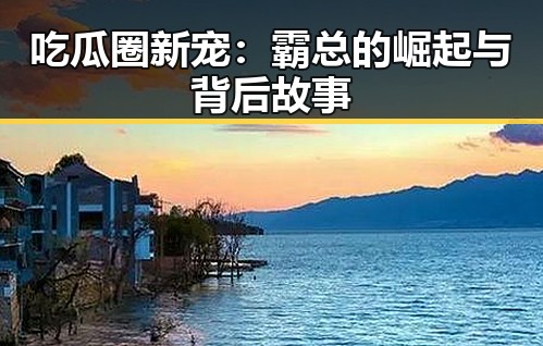 吃瓜圈新宠：霸总的崛起与背后故事