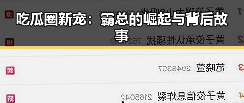 吃瓜圈新宠：霸总的崛起与背后故事